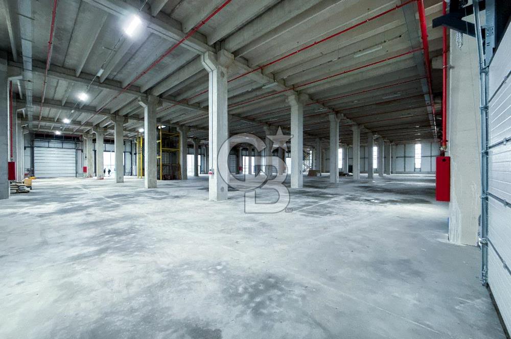 Kapaklı Sanayi Bölgesinde 5.500 m² Kiralık Depo & Lojistik Alan