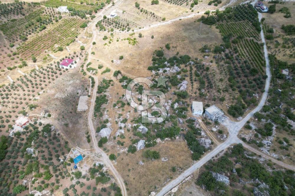 CB'DEN SARIÇUKUR'DA ÇİFTLİK VE YATIRIMA UYGUN SATILIK ARSA