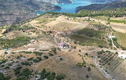 CB'DEN SARIÇUKUR'DA ÇİFTLİK VE YATIRIMA UYGUN SATILIK ARSA