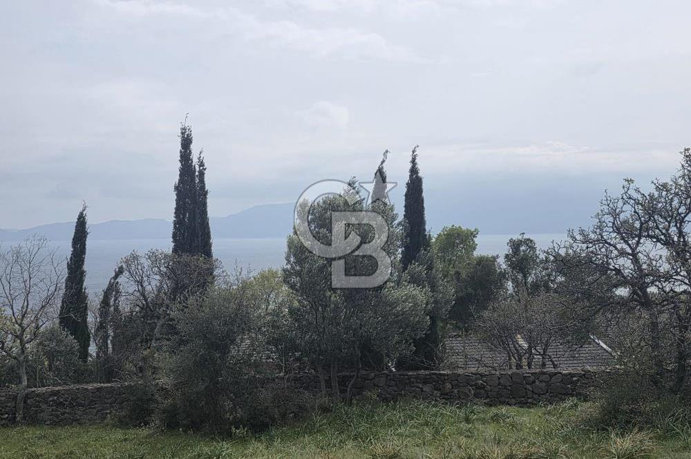 AYVACIK SİVRİCE KOYU MEVKİİ'NDE LEBİDERYA ARSA