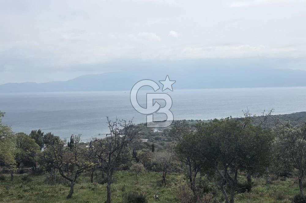 AYVACIK SİVRİCE KOYU MEVKİİ'NDE LEBİDERYA ARSA