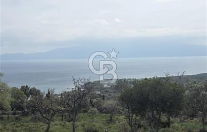 AYVACIK SİVRİCE KOYU MEVKİİ'NDE LEBİDERYA ARSA