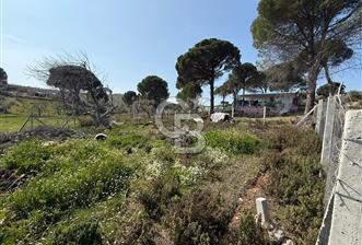 Torbalı Ormanköy Mah Satılık 684 m2 Zeytinlik Bahçe - 8 - 340556