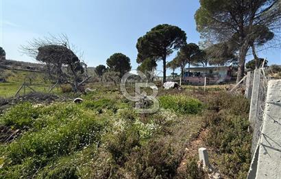 Torbalı Ormanköy Mah Satılık 684 m2 Zeytinlik Bahçe