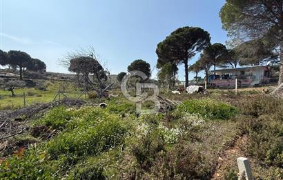 Torbalı Ormanköy Mah Satılık 684 m2 Zeytinlik Bahçe