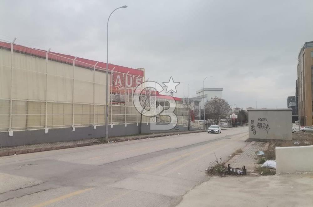PROOFİSTE 320 M2 SATILIK DÜKKAN