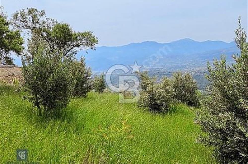 COLDWELL BANKER'DAN YENİCEKALE'DE MANZARALI SATILIK BAHÇE