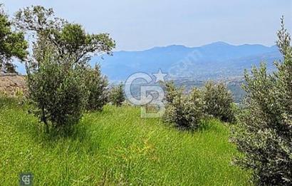 COLDWELL BANKER'DAN YENİCEKALE'DE MANZARALI SATILIK BAHÇE