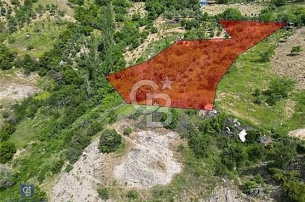 COLDWELL BANKER'DAN YENİCEKALE'DE MANZARALI SATILIK BAHÇE