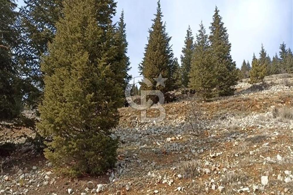 CB'DEN AYAKLICAOLUK'DA TEK TAPU (1.430m2) SATILIK ARSA