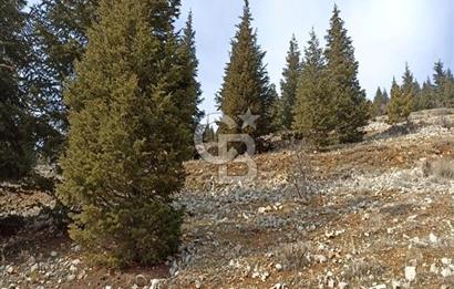 CB'DEN AYAKLICAOLUK'DA TEK TAPU (1.430m2) SATILIK ARSA