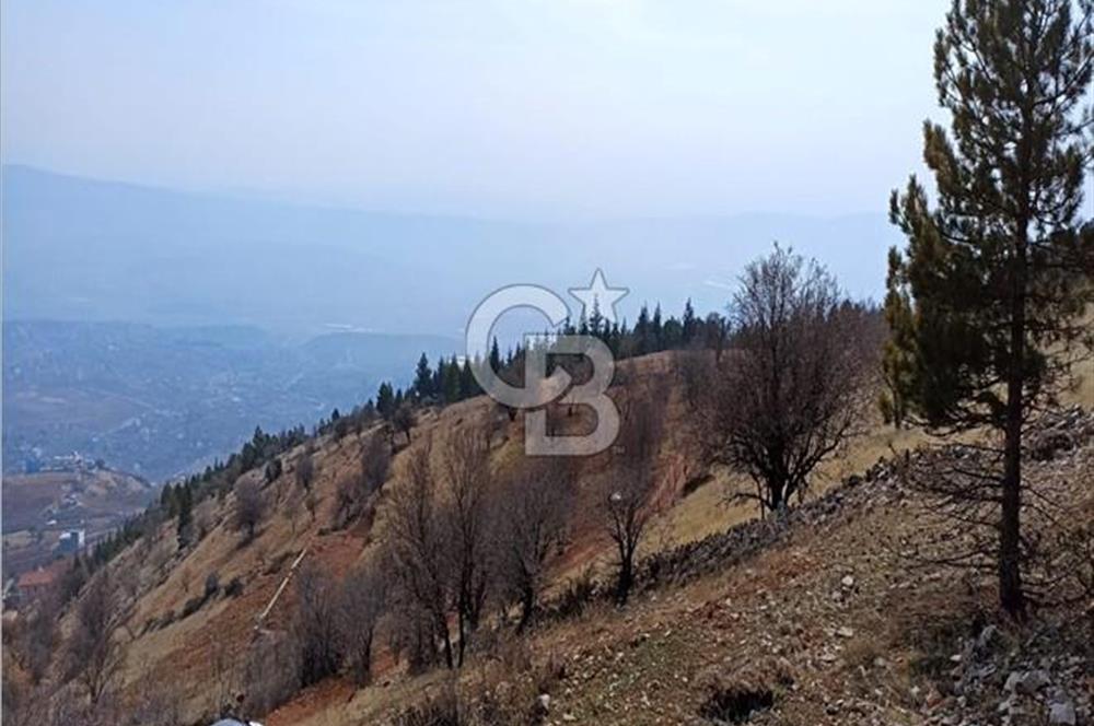 CB'DEN AYAKLICAOLUK'DA TEK TAPU (1.430m2) SATILIK ARSA