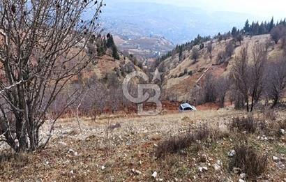 CB'DEN AYAKLICAOLUK'DA TEK TAPU (1.430m2) SATILIK ARSA