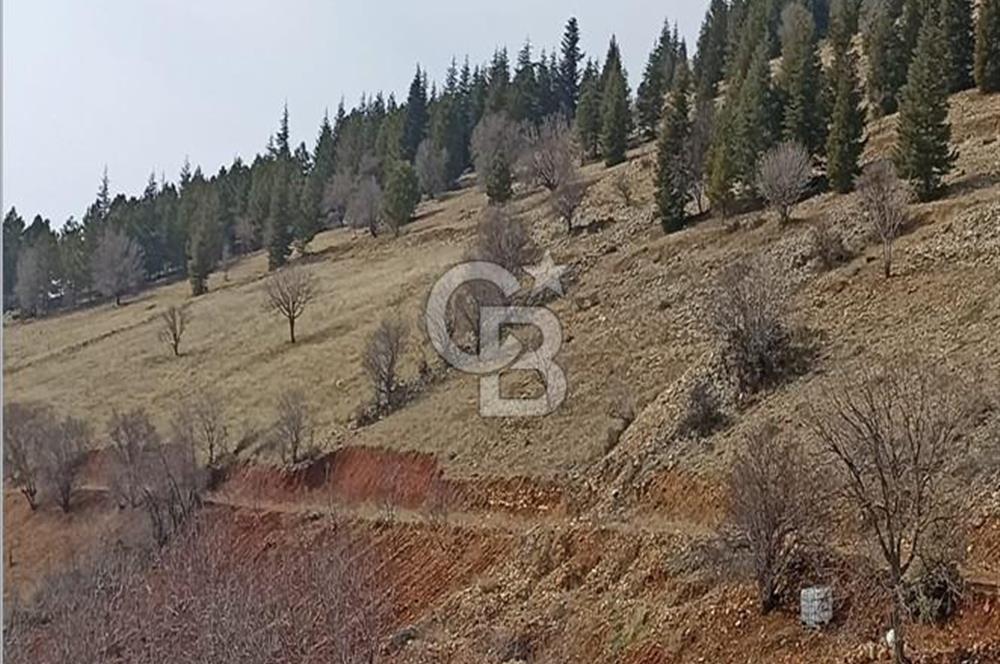 CB'DEN AYAKLICAOLUK'DA TEK TAPU (1.430m2) SATILIK ARSA