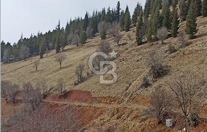 CB'DEN AYAKLICAOLUK'DA TEK TAPU (1.430m2) SATILIK ARSA