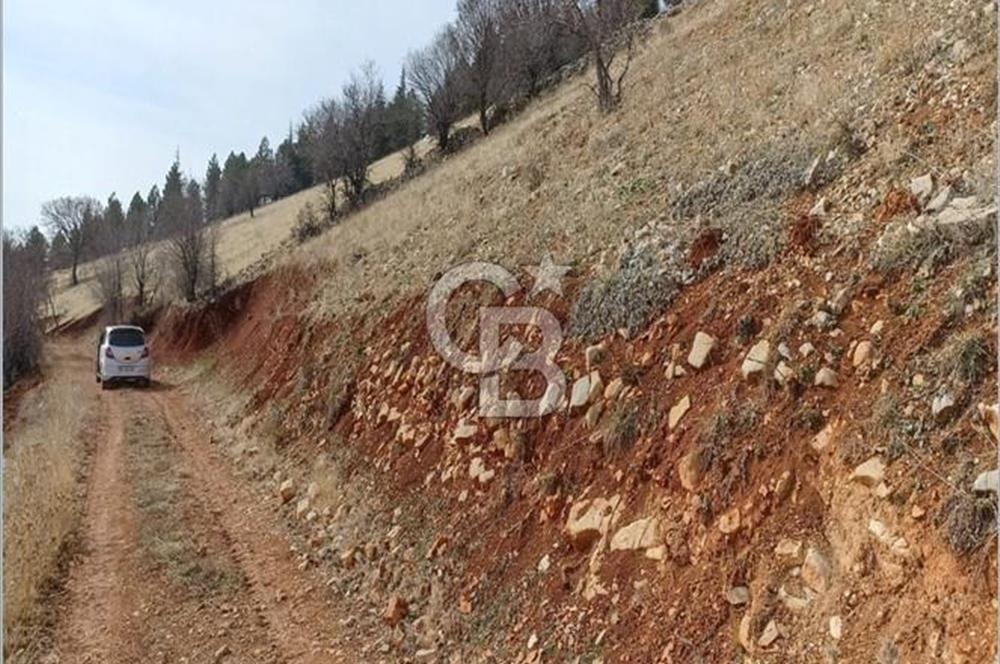 CB'DEN AYAKLICAOLUK'DA TEK TAPU (1.430m2) SATILIK ARSA