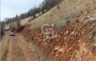 CB'DEN AYAKLICAOLUK'DA TEK TAPU (1.430m2) SATILIK ARSA