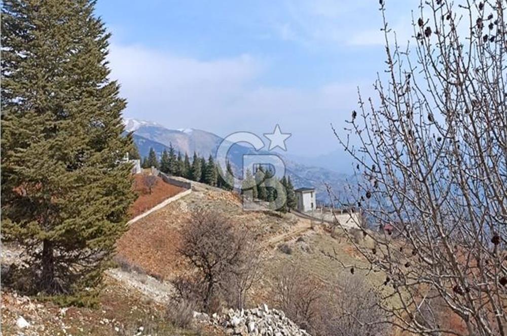 CB'DEN AYAKLICAOLUK'DA TEK TAPU (1.430m2) SATILIK ARSA