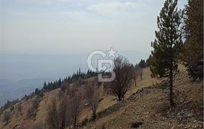 CB'DEN AYAKLICAOLUK'DA TEK TAPU (1.430m2) SATILIK ARSA