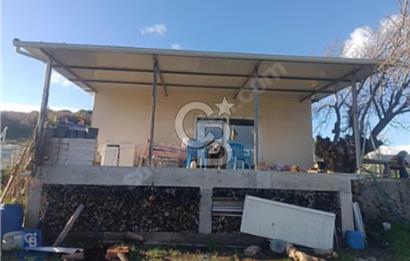 Selçuk Burgaz/ içinde yapı olan elektrik suyu aktif incirlik