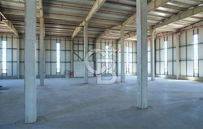 Çerkezköy Kapaklı 4.800m2 H:12 Kiralık DEPO 6 TIR Rampalı
