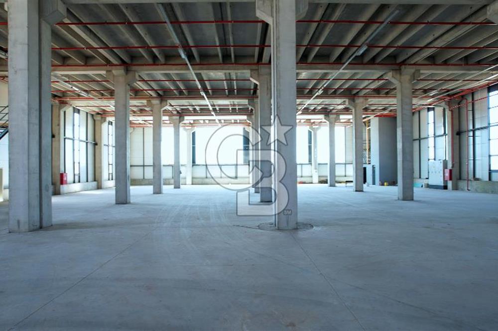 Çerkezköy Kapaklı 4.800m2 H:12 Kiralık DEPO 6 TIR Rampalı