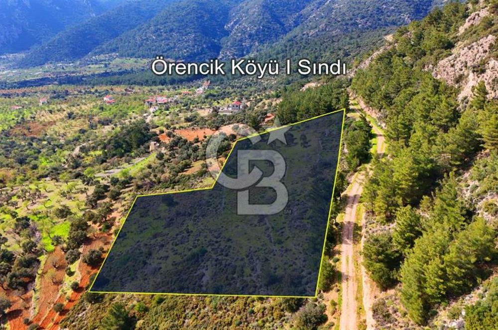 Datça Yaka Sındı’da Zeytincik Manzaralı , Yatırımlık Tarla | Palamutbükü’ne Yakın