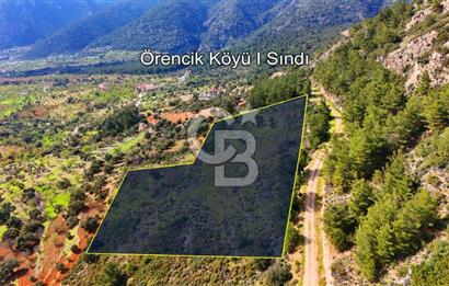 Datça Yaka Sındı’da Zeytincik Manzaralı , Yatırımlık Tarla | Palamutbükü’ne Yakın