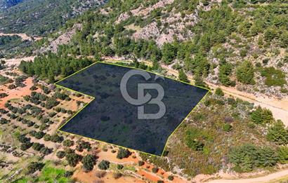 Datça Yaka Sındı’da Zeytincik Manzaralı , Yatırımlık Tarla | Palamutbükü’ne Yakın