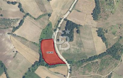 GebzeDuraklı köyü satı