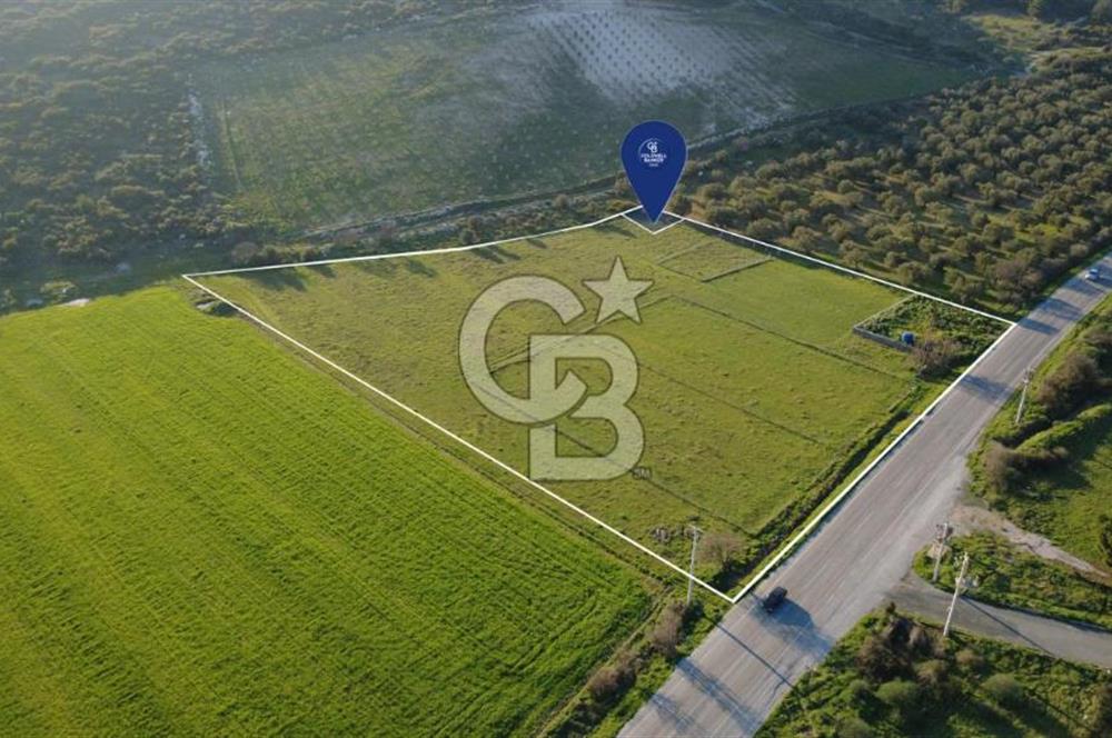 ESKİ FOÇA YOLUNA SIFIR SATILIK 211 M2 TARLA