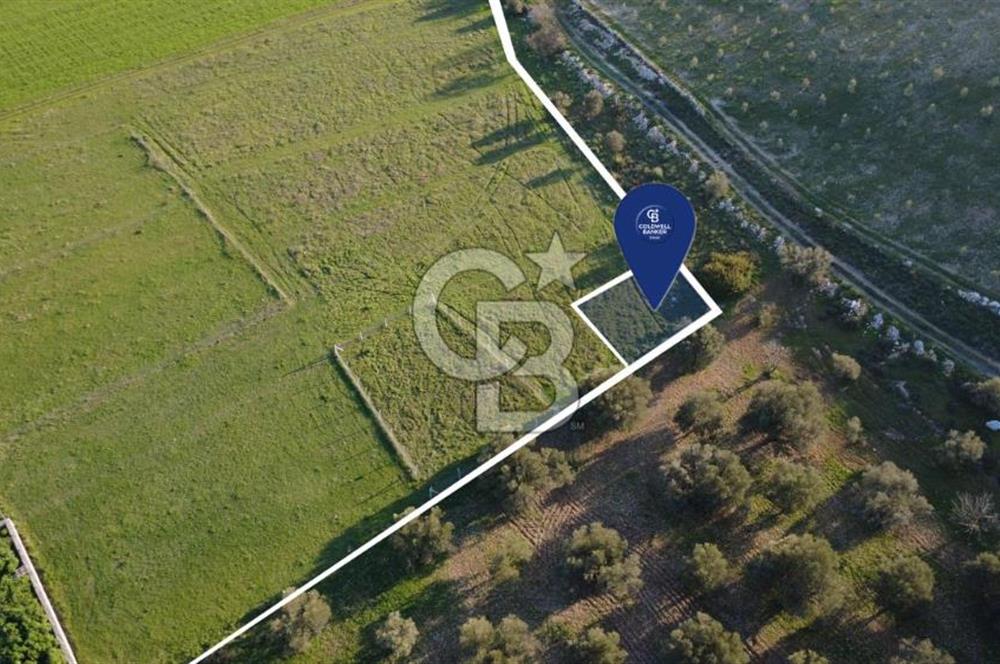 ESKİ FOÇA YOLUNA SIFIR SATILIK 211 M2 TARLA