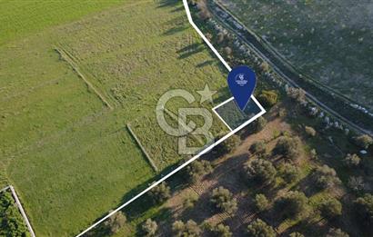 ESKİ FOÇA YOLUNA SIFIR SATILIK 211 M2 TARLA