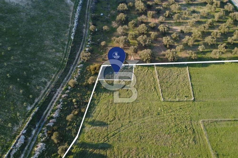 ESKİ FOÇA YOLUNA SIFIR SATILIK 211 M2 TARLA