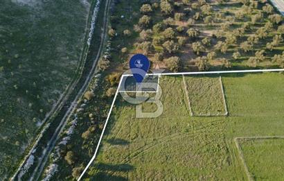 ESKİ FOÇA YOLUNA SIFIR SATILIK 211 M2 TARLA