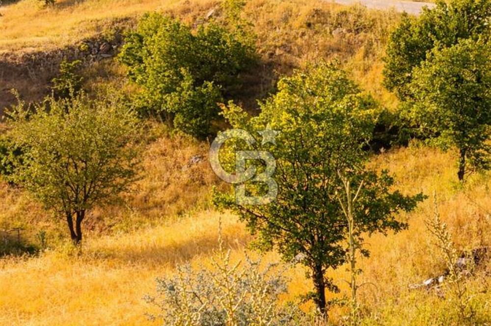 Manisa Kulada Yola Cepheli 17.833 m² Dev Fırsat Satılık Tarla