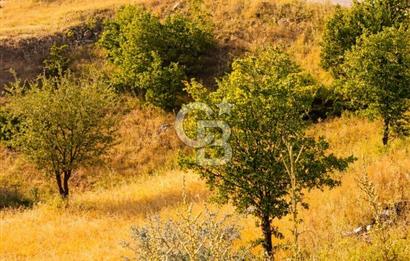 Manisa Kulada Yola Cepheli 17.833 m² Dev Fırsat Satılık Tarla