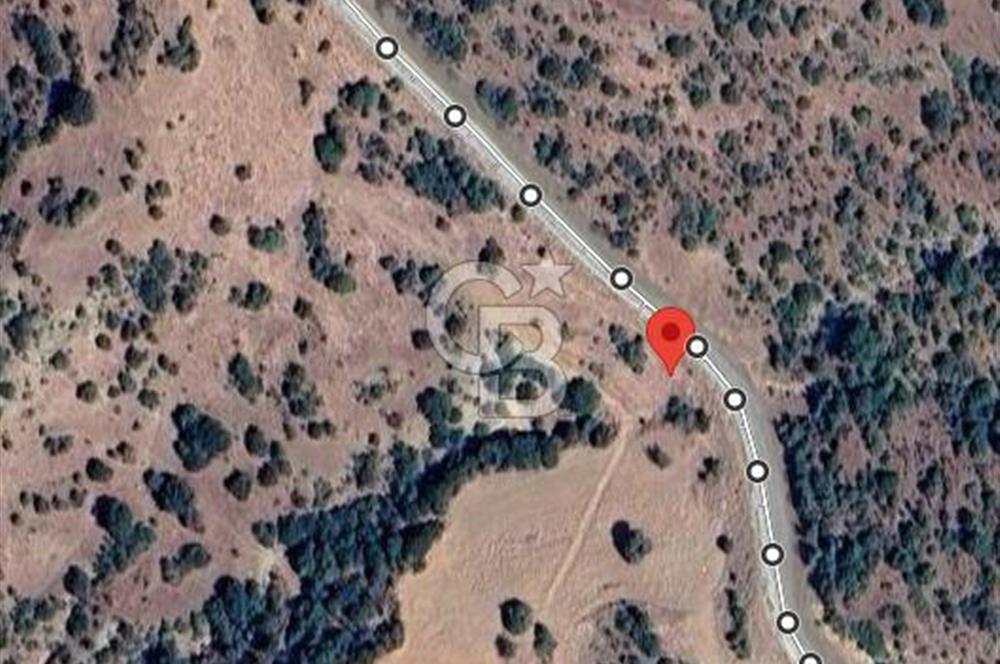 Manisa Kulada Yola Cepheli 17.833 m² Dev Fırsat Satılık Tarla