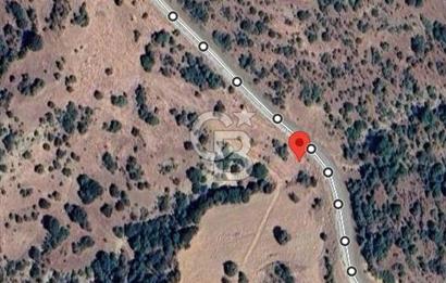 Manisa Kulada Yola Cepheli 17.833 m² Dev Fırsat Satılık Tarla