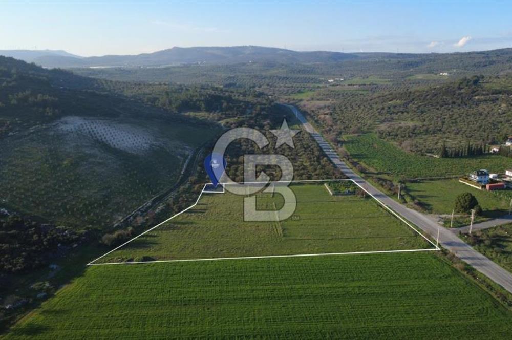 ESKİ FOÇA YOLUNA SIFIR SATILIK 211 M2 TARLA