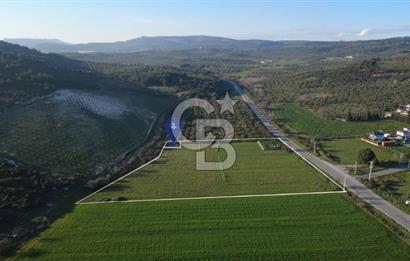 ESKİ FOÇA YOLUNA SIFIR SATILIK 211 M2 TARLA