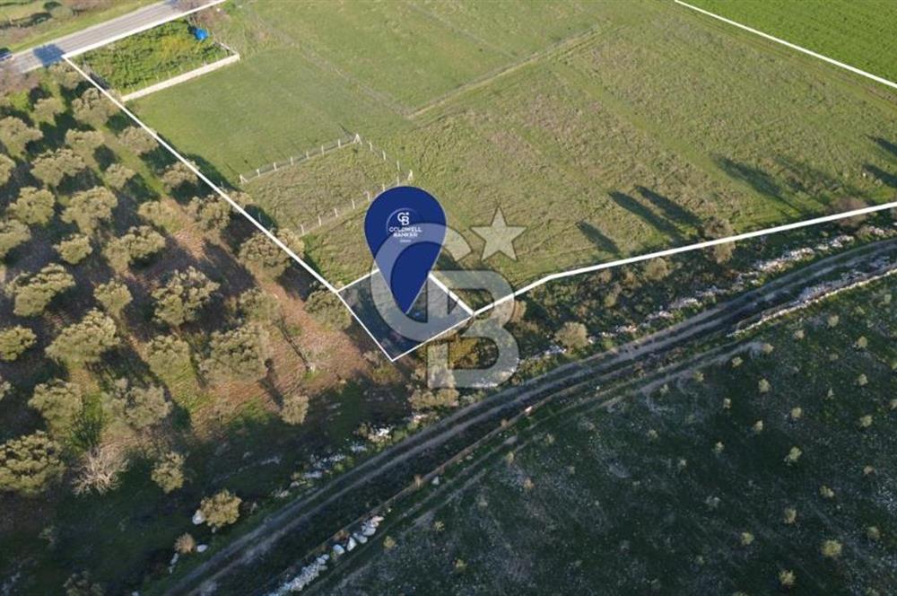 ESKİ FOÇA YOLUNA SIFIR SATILIK 211 M2 TARLA