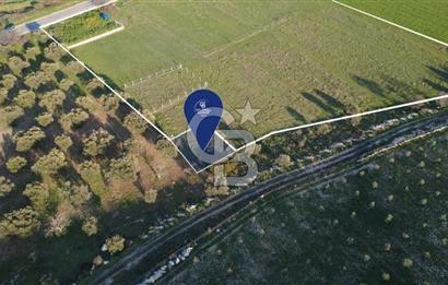 ESKİ FOÇA YOLUNA SIFIR SATILIK 211 M2 TARLA