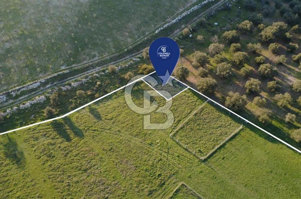 ESKİ FOÇA YOLUNA SIFIR SATILIK 211 M2 TARLA