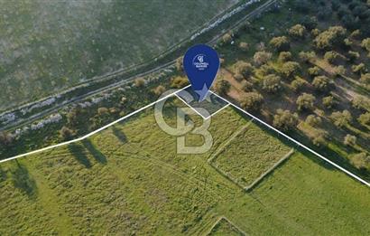 ESKİ FOÇA YOLUNA SIFIR SATILIK 211 M2 TARLA