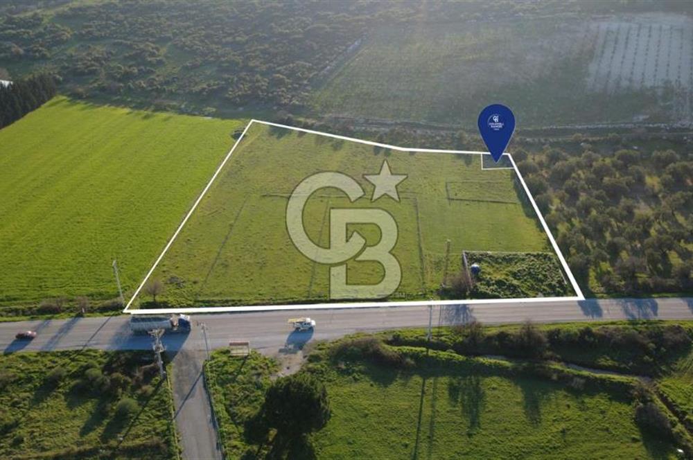 ESKİ FOÇA YOLUNA SIFIR SATILIK 211 M2 TARLA