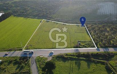 ESKİ FOÇA YOLUNA SIFIR SATILIK 211 M2 TARLA