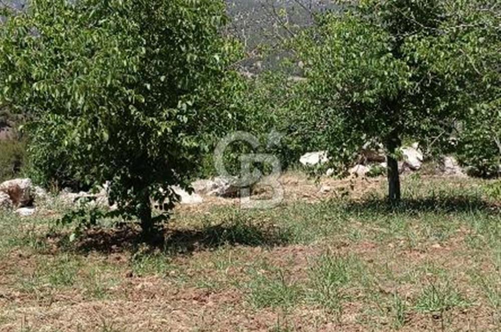 COLDWELL BANKER'DEN BAHÇELİ MAH.DE SATILIK TARLA