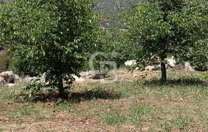 COLDWELL BANKER'DEN BAHÇELİ MAH.DE SATILIK TARLA