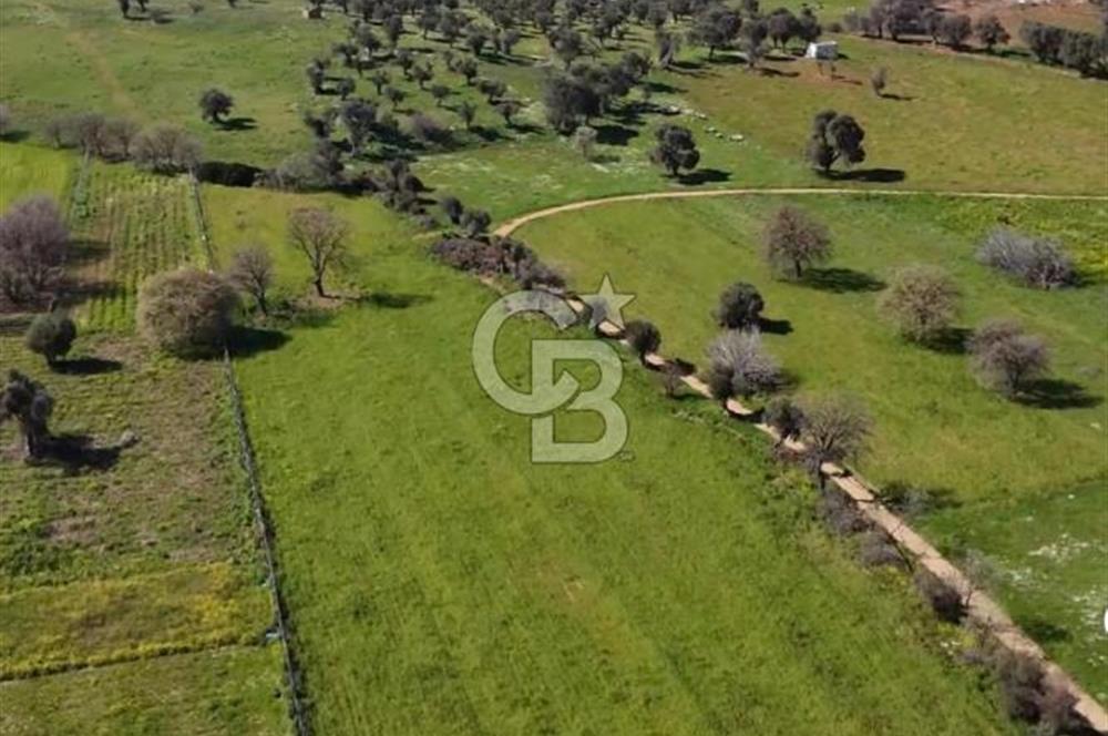 Güzelbahçe Yelki'de Satılık Arsa